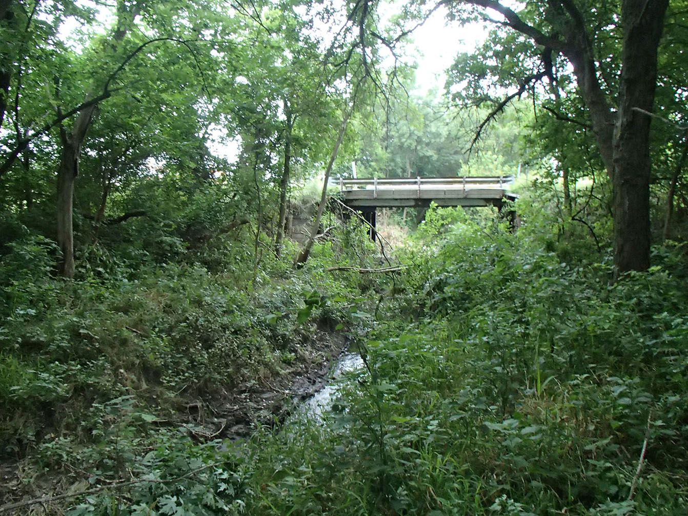P8150067