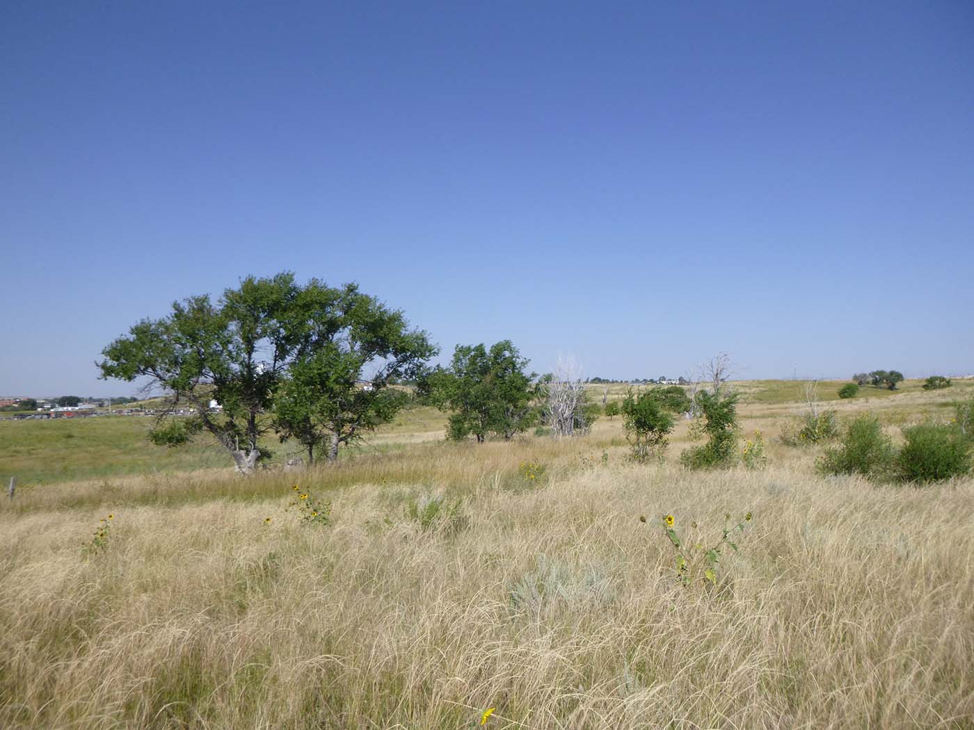 P4030324